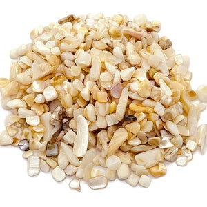 Puede incluir: Un montón de pequeñas virutas de concha iridiscentes blancas y beige. Las virutas son de varias formas y tamaños, y tienen un aspecto natural y orgánico.