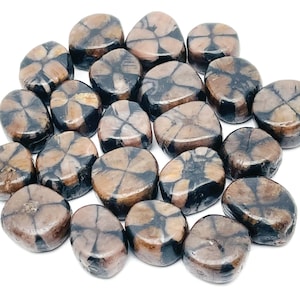 May include: A collection of 18 brown and black star-shaped stones. The stones are smooth and polished, and they have a natural, earthy look.