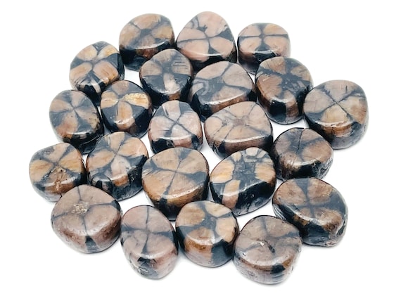 Chiastolite Tumbled Stone – Cross Stone – Gemstone Chiastolite - Healing Stone – TU1236