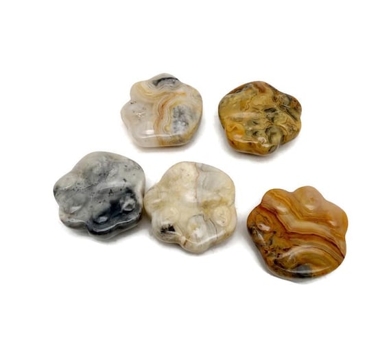 Crazy Lace Agate Bear Paw Crystal Carving – Handcrafted Gemstone Creature Statue - HA1255