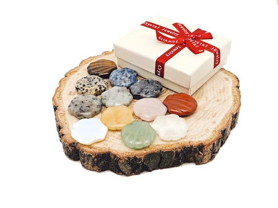 Crystal Mystery Box Gift Sea Shell Carving - 7 Pc Randomly Gemstones - Crystal Healing - Best Crystal Gift - Energy Crystals - KIT10