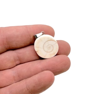 Shiva Shell Pendants – Shell Crystal - Witchcraft Crystals – Carving Heart - Shiva Eye Shell Heart - NC1888