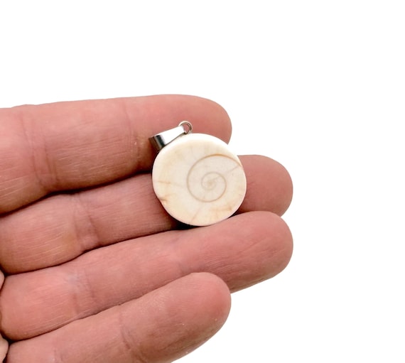 Shiva Shell Pendants – Shell Crystal - Witchcraft Crystals – Carving Heart - Shiva Eye Shell Heart - NC1888