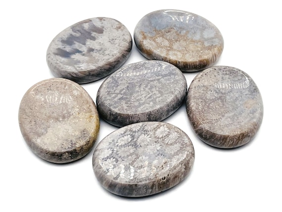 Fossil Coral Worry Stone – Crystal Worry Stone – Pocket Stone – Healing Crystal - 4.5x3.5cm - WO1074