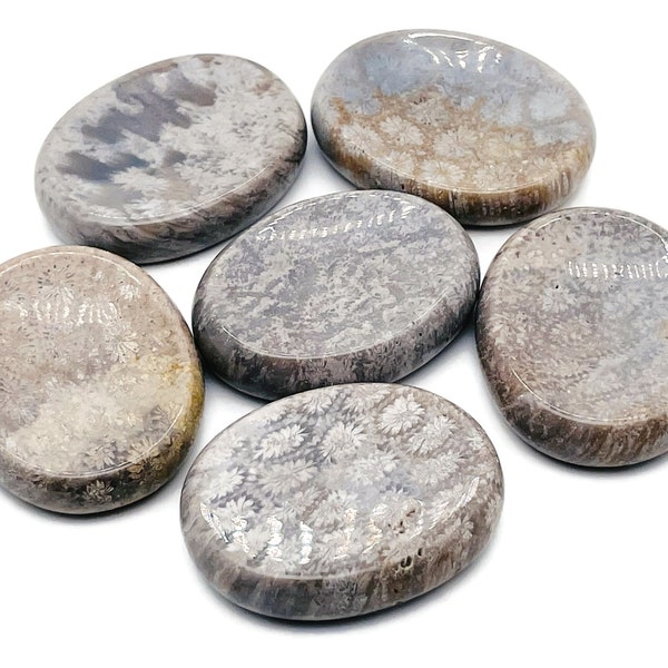 Fossil Coral Worry Stone – Crystal Worry Stone – Pocket Stone – Healing Crystal - 4.5x3.5cm - WO1074