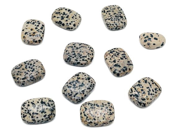 Dalmatian Jasper Slab Crystal - Flat Disk Stone – Pendant Crystal - Worry Stone - Healing Crystals – 0.8"-1.1" - FL1067
