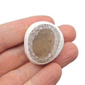 May include: A circular, light brown gemstone with a white, powdery coating. The gemstone is held in a hand against a white background. The gemstone has a translucent centre and a textured, opaque outer layer.