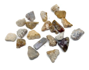 Pierre de jade corail indonésienne - Pierre de corail fossile - Pierre libre - Cristal de guérison de corail naturel - Pierre de richesse - FO1042