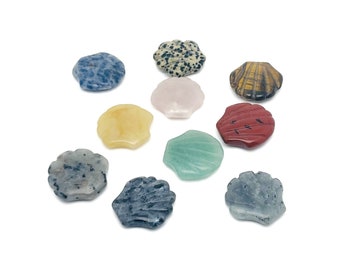Pierres précieuses de sculpture de coquillages marins - Coquillages pour la fabrication de bijoux - Spécimen minéral - Décor de coquillages marins - SSMIX
