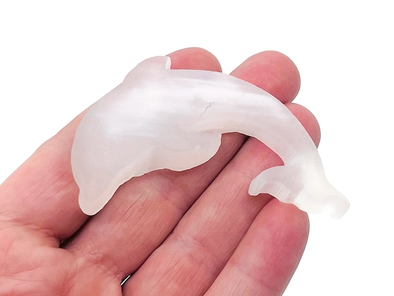 Selenite Dolphin Stone – Selenite Crystal – Selenite Carving – Natural Selenite Crystal Stone – CA1046