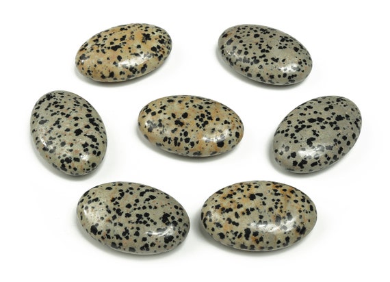 Dalmatian Jasper Palm Stone – Loose Gemstones –Natural Gemstone – Home Decor -45x35mm - PA1020