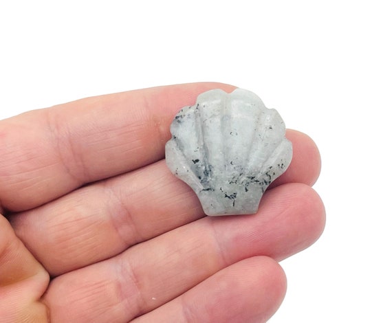 Labradorite Sea Shell Carving Gemstone - Gemstone Shell For Jewelry Making - Mineral Specimen - Sea Shell Decor - SS1006