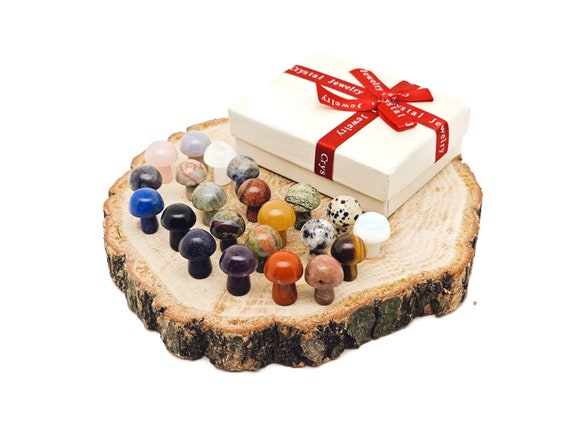 Crystal Mystery Box Gift Mushroom Carving - 10 Pc Randomly Gemstones - Crystal Healing - Best Crystal Gift - Energy Crystals - KIT15