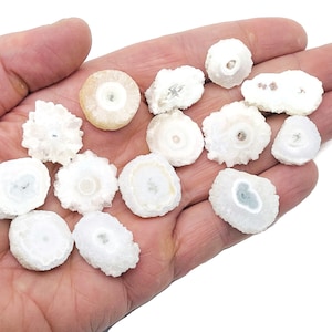 Op de afbeelding: Een verzameling witte kwartskristal plakjes met verschillende patronen en texturen. De plakjes zijn gerangschikt op een hand, waardoor hun natuurlijke schoonheid wordt getoond.