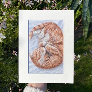 Original Ginger Cat Watercolour Painting | Cute Cat Artwork |  Curled Up Cat Painting Handmade