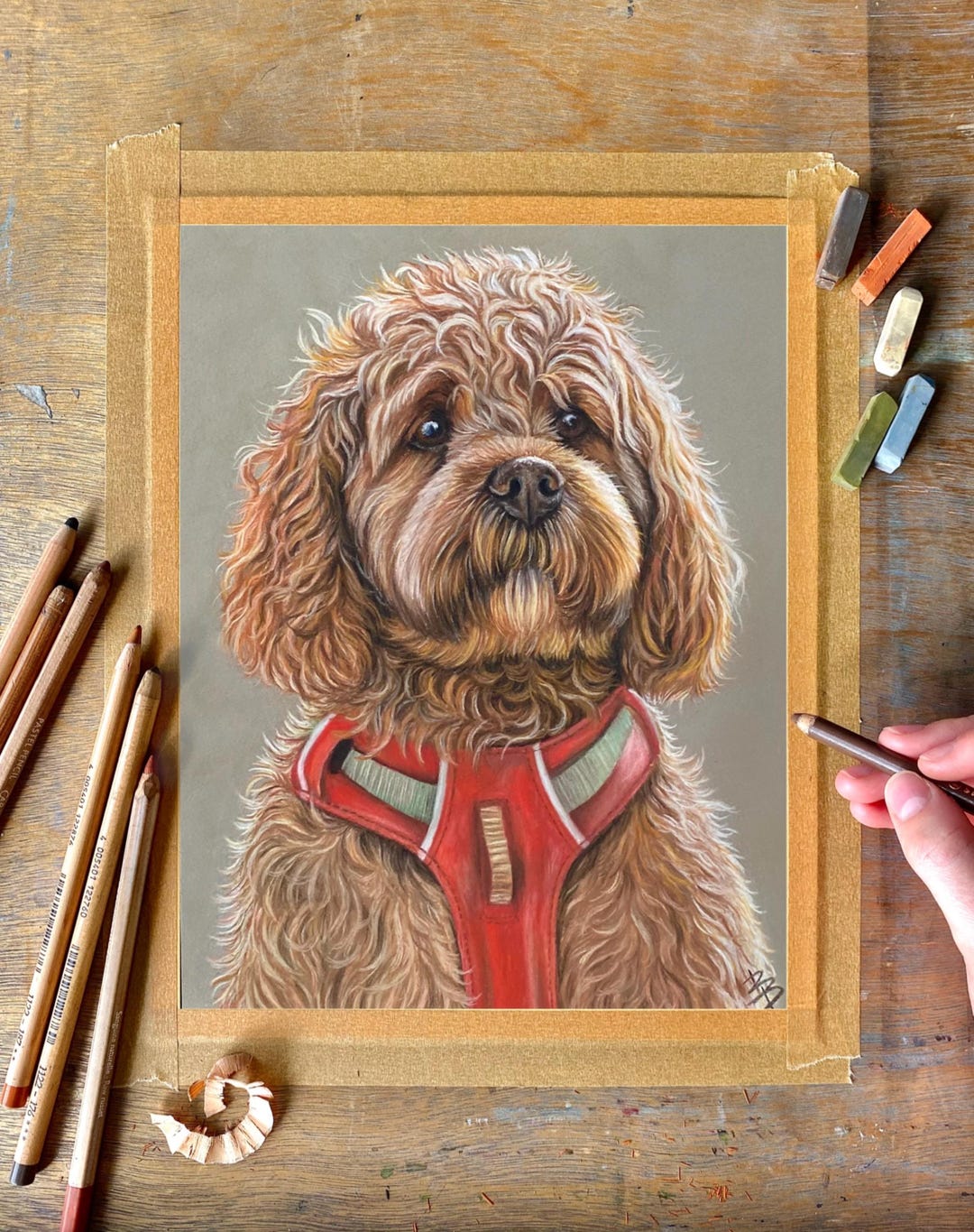 Custom Pet Portrait | Hand Drawn Pastel Pencil Portrait | Hand Drawn ...