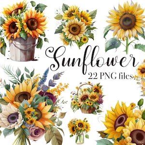 Sunflower clipart, Sunflower PNG, Sunflower sublimation design, Sunflower illustration, Transparent background, Commercial use