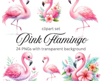 Pink Flamingo clipart set, Watercolor Flamingo, Cute Flamingo images, Flamingo and tropical flowers design