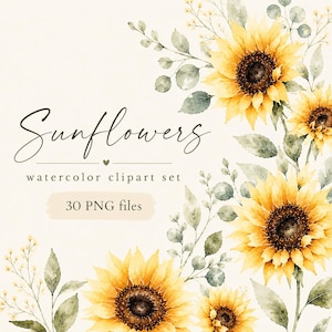 Peut inclure: Un ensemble d'images clipart à l'aquarelle représentant des tournesols jaunes aux centres brun foncé avec un feuillage vert. Le texte indique Sunflowers watercolor clipart set 30 PNG files. Le design est sur un fond crème clair.