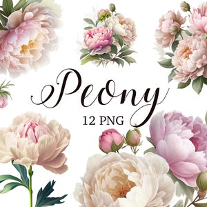 Imágenes prediseñadas de peonía, PNG de peonía, imágenes prediseñadas florales, rosa claro, elementos de acuarela, Boho, Boho, imágenes prediseñadas de peonías, diseño de invitación de boda