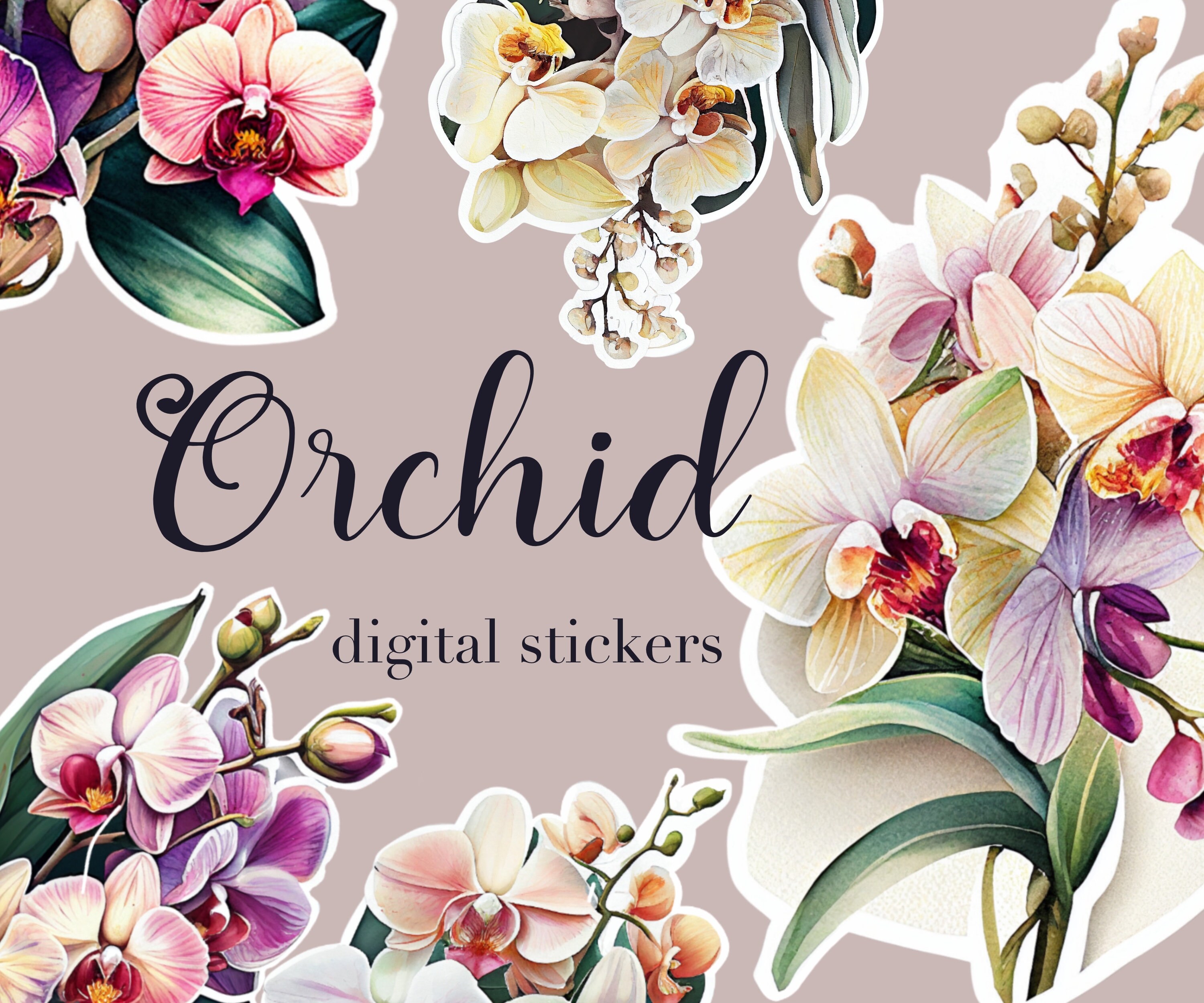 Orchid Sticker Orchid Clipart, Orchid PNG, Orchid Digital Stickers, Orchid ...