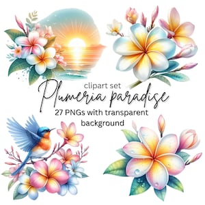 Watercolor Plumeria Clipart set, PNG Summer Flowers Clipart, Plumeria Flower, Tropical Flowers PNG, Commercial use, Summer vacation clipart