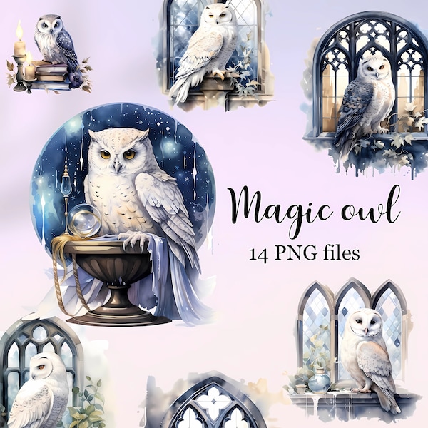 Magic Owl clipart, Owl images, Owl illustration, Wizard Owl, Clipart bundle of 14 PNG files, Wizard design, Watercolor Owl, Halloween design