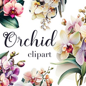 Orchid clipart, Orchid PNG, Orchid digital stickers, Orchid illustration, Watercolor orchid, Commercial use, Instant download