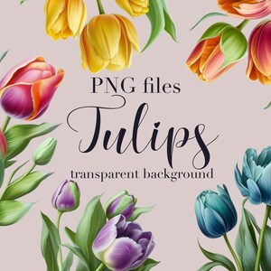 Puede incluir: Una ilustraci&oacute;n digital de un ramo de tulipanes de varios colores, incluyendo morado, azul, amarillo, rosa y naranja. Los tulipanes est&aacute;n dispuestos en un patr&oacute;n circular con el texto "PNG files Tulips transparent background" en el centro.
