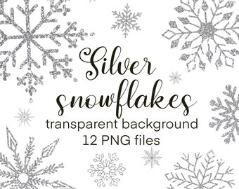 Silberne Schneeflocke PNG, Glitzer-Schneeflocken PNG, Schneeflocke Clipart, Gefrorene Schneeflocke Overlay, Winter Clipart