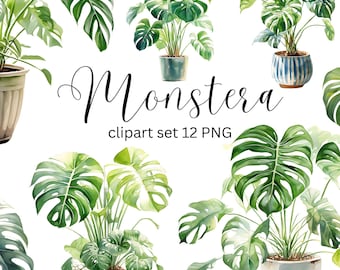 Watercolor Monstera Plant Clipart Set of 12 PNG Files with Transparent Background, Monstera clipart, Watercolor plant illustration bundle