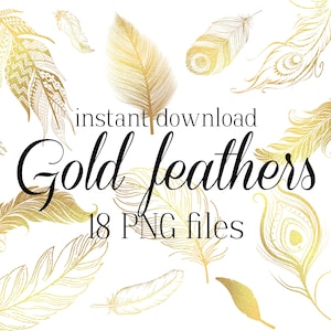 Piuma d&#39;oro PNG, Clipart piuma d&#39;oro, Piuma boho, Piuma glitter oro, File PNG download immediato, pacchetto di 18 design diversi