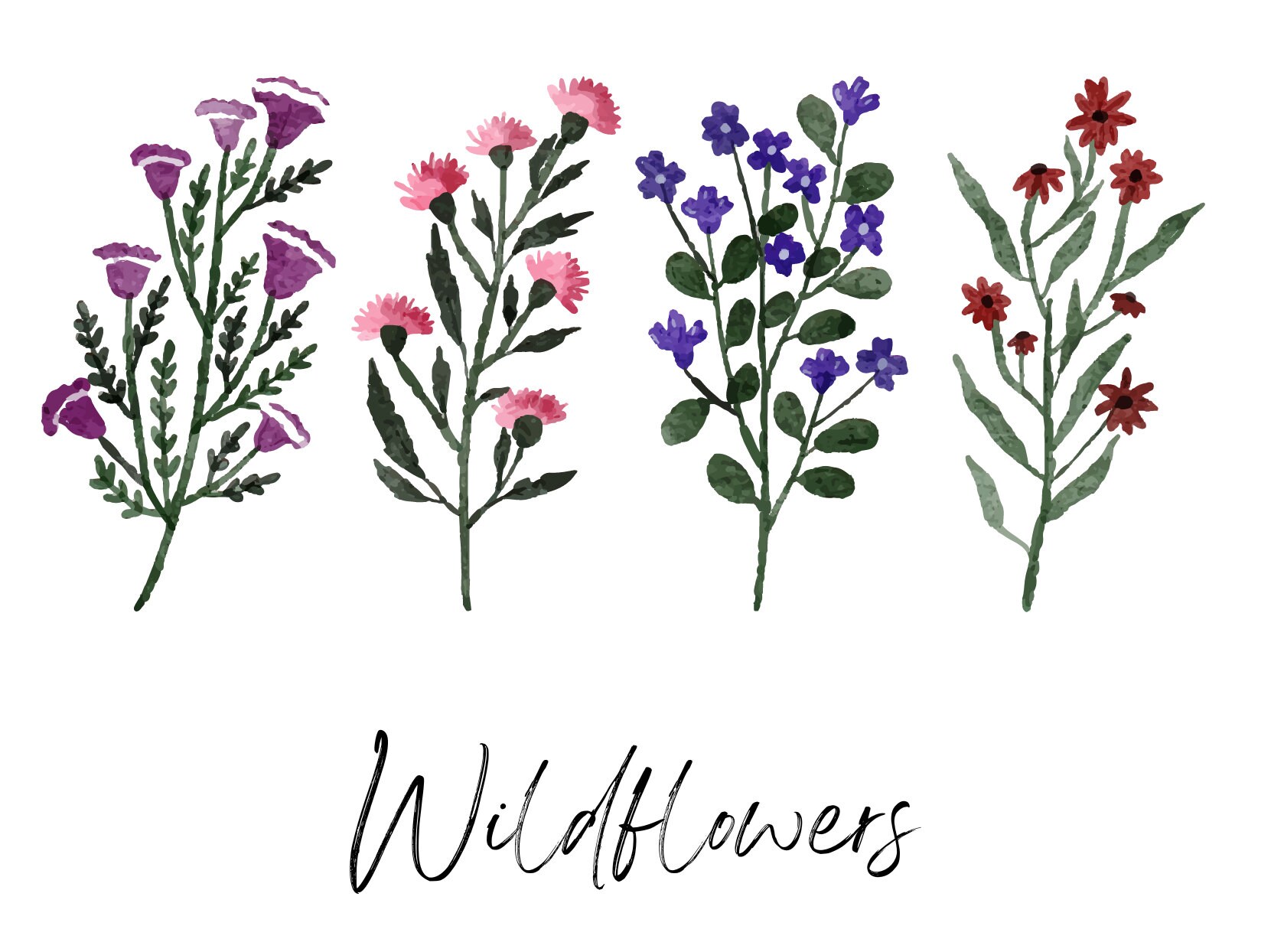 Printable Wildflowers Poster, Flower Wall Art, Home Decor, Digital ...