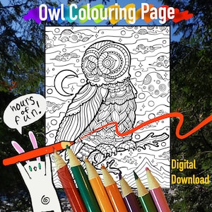 May include: A black and white colouring page featuring a detailed illustration of an owl with a crescent moon and stars in the background. The text "Owl Colouring Page" is at the top of the page. The text "hours of fun!" is in a speech bubble to the left of the owl.  There are coloured pencils on the bottom of the page.