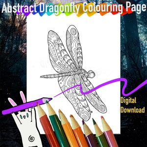 High detail dragonfly colouring page original artwork