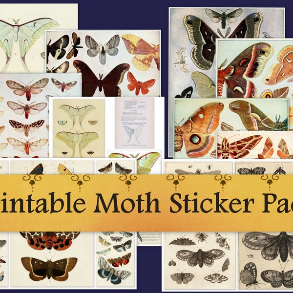 Moth Sticker Pack, Lunar Moth Sticker Sheet, Vintage Entomology Insect Stickers DIGITAL Ephemera Paper Set,  Antique Printable