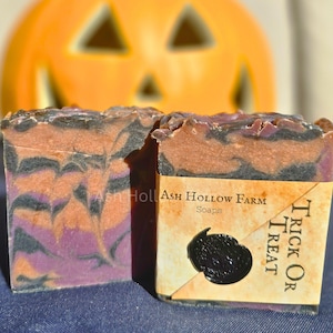 Trick Or Treat Artisan Soap: Notes of Pumpkin, Persimmon, Apple, Blueberry, Elderberries, Currants, Orange, Cinnamon