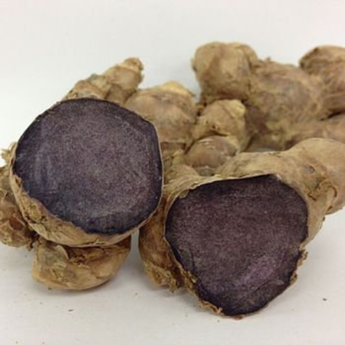 ORGANIC BLACK GINGER Root Powder Kaempferia Parviflora Etsy