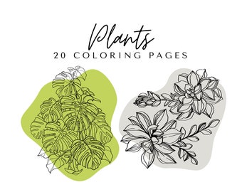 Puede incluir: Un dibujo en blanco y negro de dos plantas, una con hojas grandes y la otra con flores más pequeñas. El texto "Plants 20 Coloring Pages" está por encima de los dibujos.