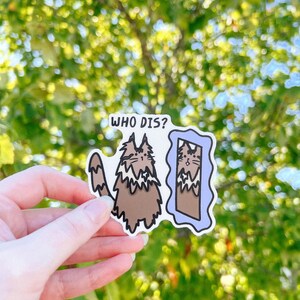 May include: A brown and white cat with a grumpy expression looks in a mirror with the text "WHO DIS?" above the cat. The mirror is blue and has a wavy outline.