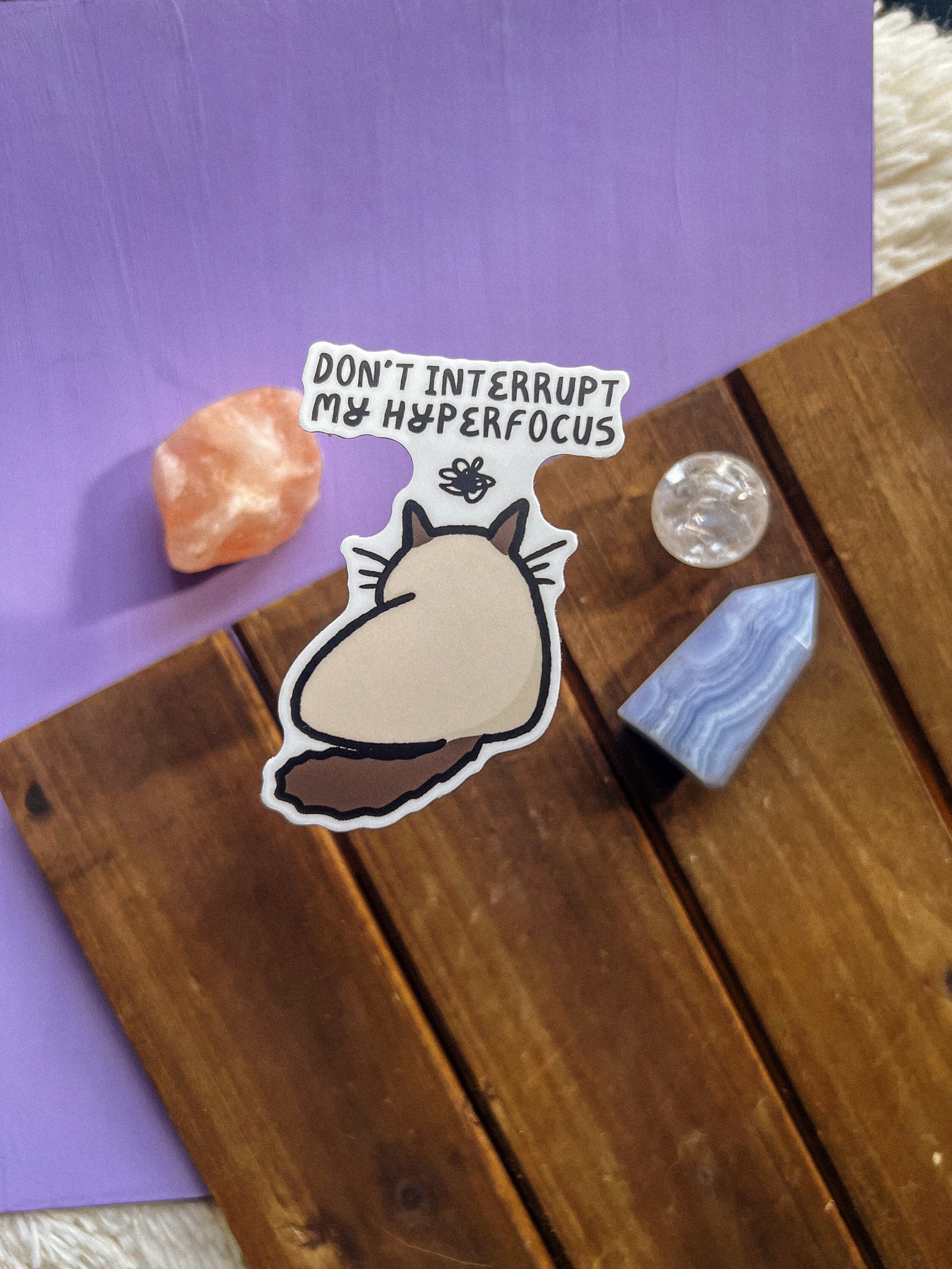 Hyper Focus Cat Sticker | Neurodivergent | Audhd Autism ADHD | POTS ...