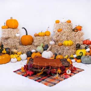 May include: A rustic fall-themed newborn photography backdrop featuring a variety of pumpkins and gourds arranged on hay bales. A wooden tray with a brown blanket and fall leaves is in the center of the image.
