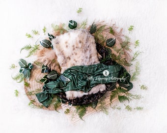 Newborn Digital Backdrop: Greenery on White Boho