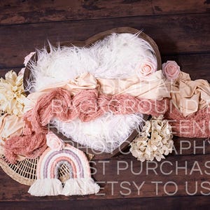 Newborn Digital Backdrop for newborn photographers heart mauve wood rainbow