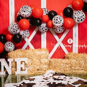 Birthday Digital Background for Cake Smash Photographer Cow Print Balloons red barn, red and black balloon arch, grass, ONE, cow rug