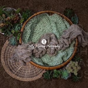 Newborn Green and Brown with Succulents Digital Background