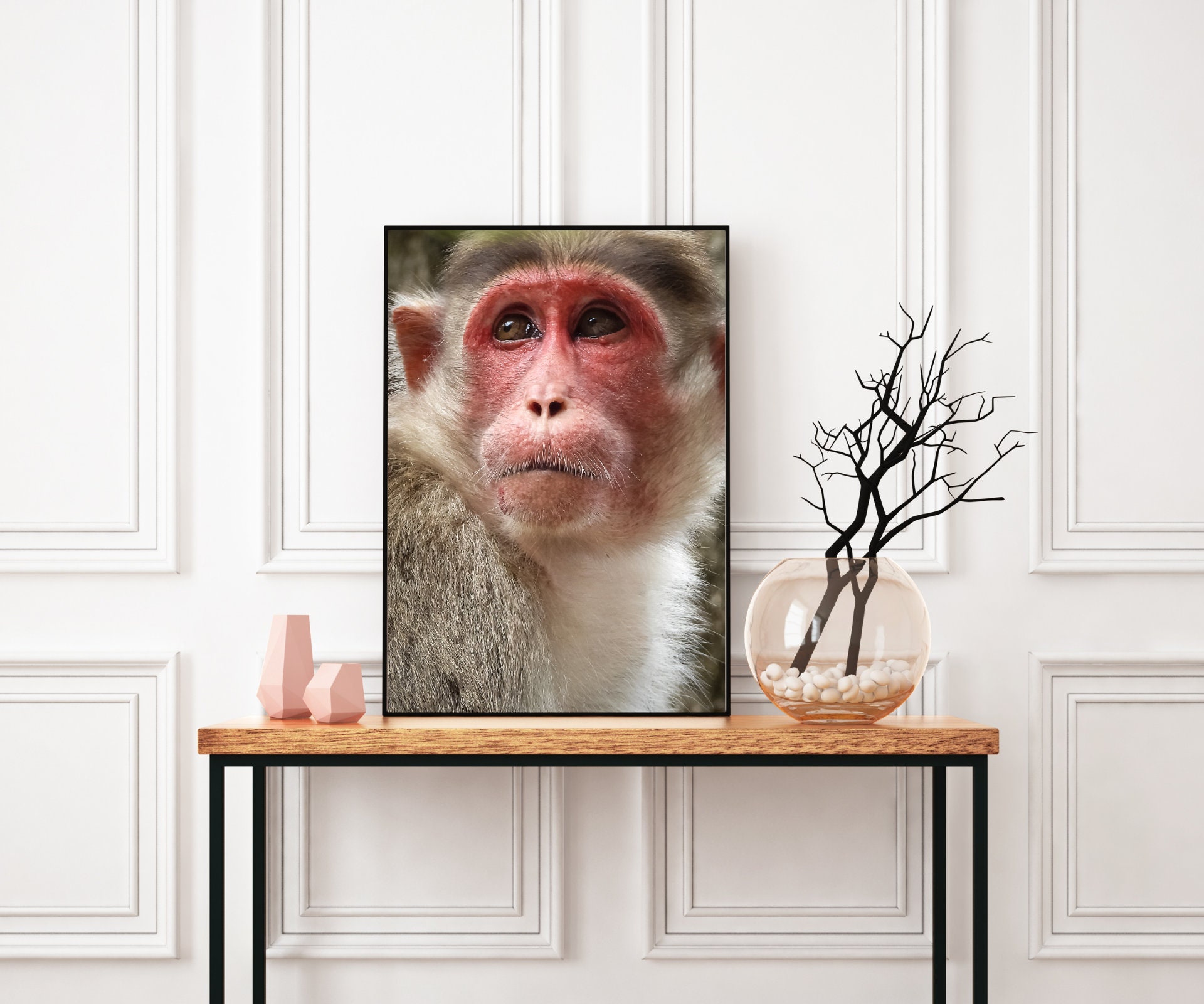 Monkey Wall Art Wall Print Animal Animal Photography Etsy