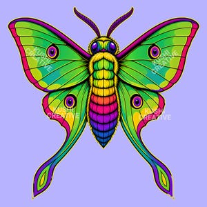 May include: A vibrant illustration of a moth featuring bright green wings with purple and yellow accents, prominent eyespots, and a segmented body transitioning from yellow to purple. The text KUSHI CREATIVE is visible on the wings.