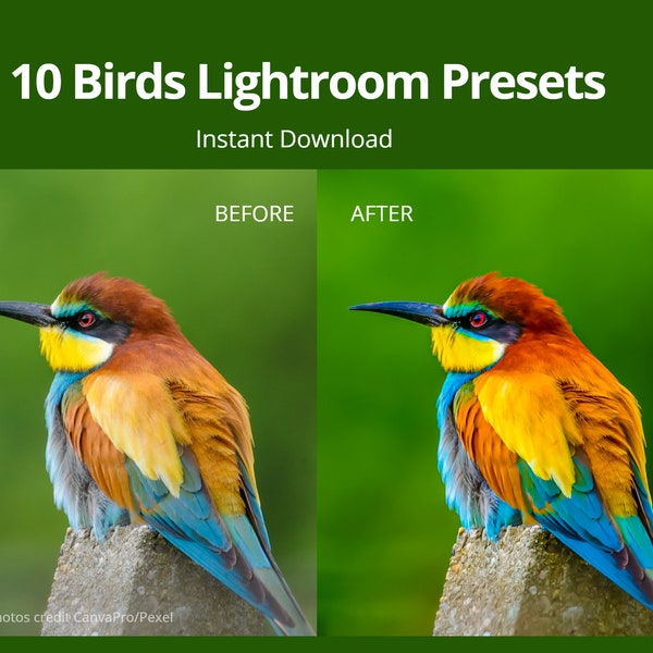 10 Lightroom Presets | Photo Presets | Wildlife Photography Presets | Bird Photography, | Digital Download