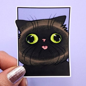 Könnte beinhalten: Eine Nahaufnahme eines schwarzen Katers mit grünen Augen und einer rosa Nase. Die Katze schaut direkt auf den Betrachter, mit leicht geöffnetem Maul, als würde sie sprechen wollen.